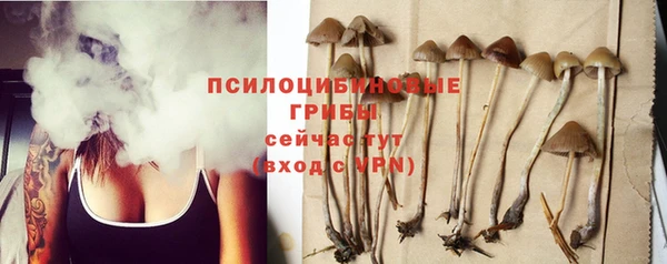 шишки Алзамай