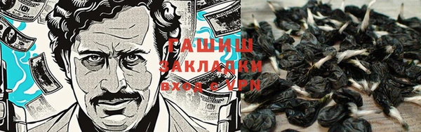 хмурый Нягань