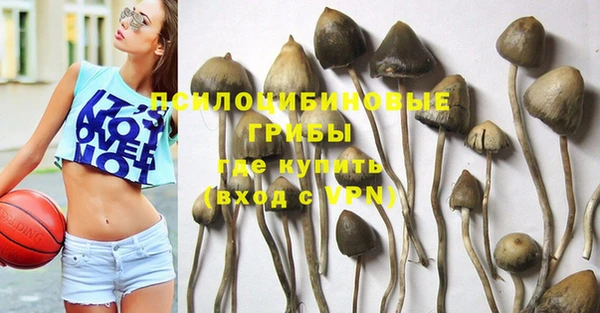 шишки Алзамай
