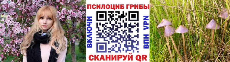 Псилоцибиновые грибы GOLDEN TEACHER  Грязовец 